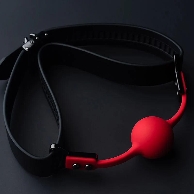 Ball Gag & Gag-Bite Set - Image 4