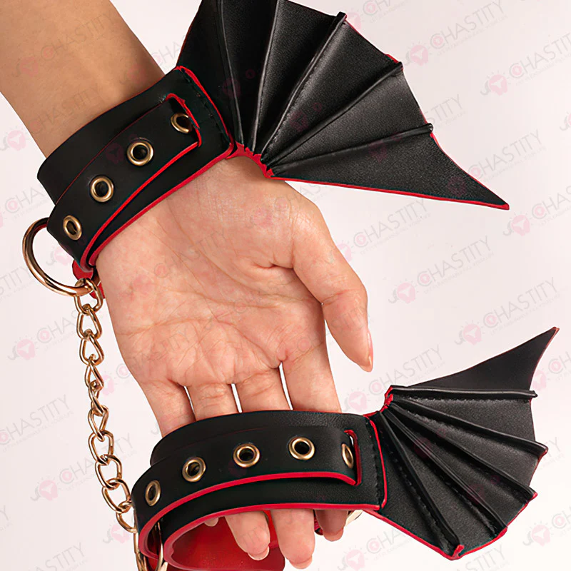 Bat DBSM Bondage Kit - Image 6