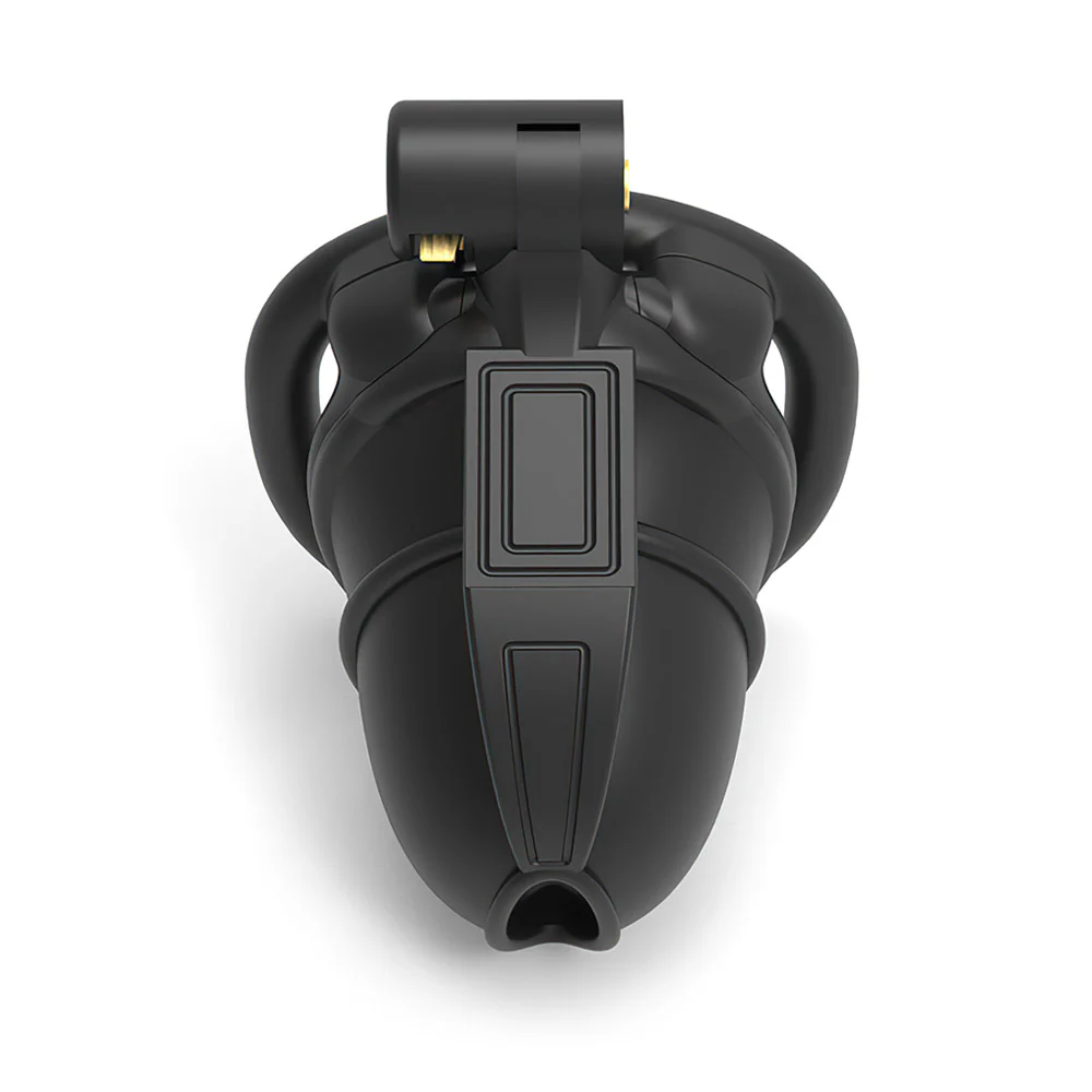BDSM Cock Lock - Image 6