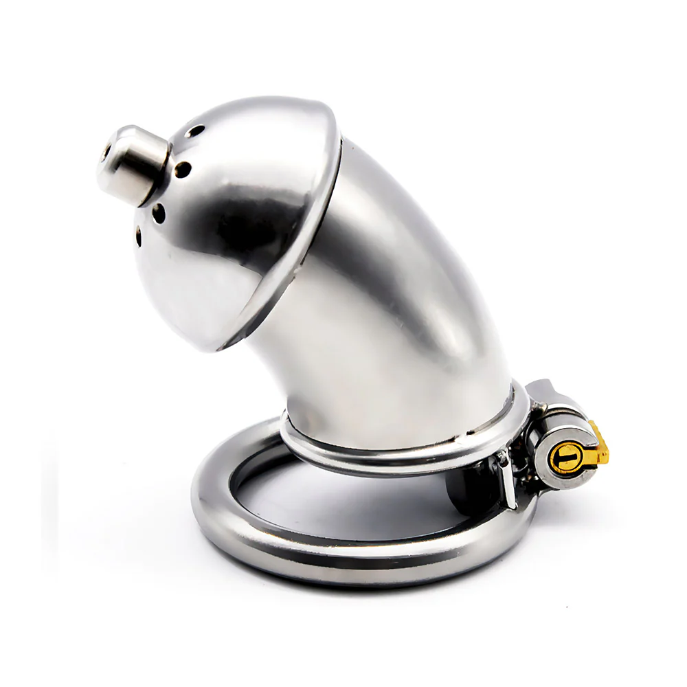 Bird Cage Lock - Image 3