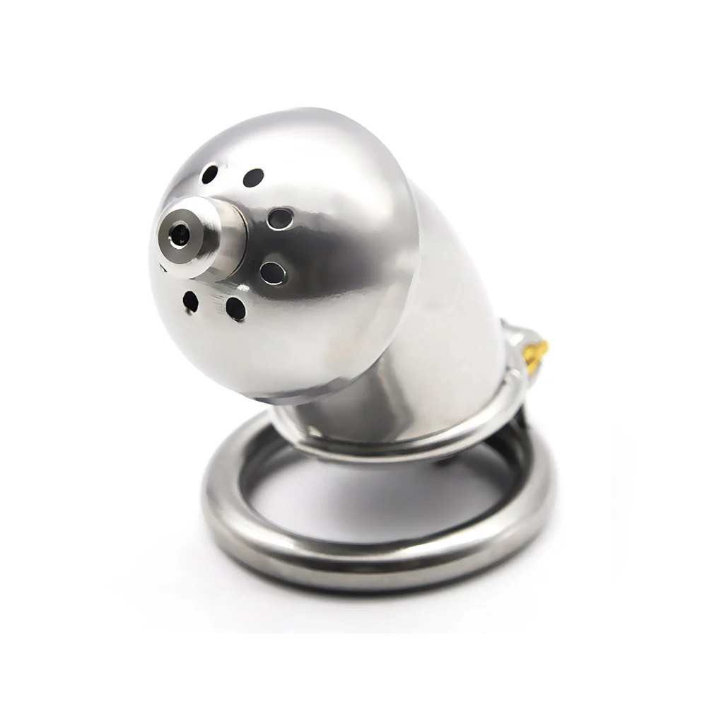 Bird Cage Lock - Image 4