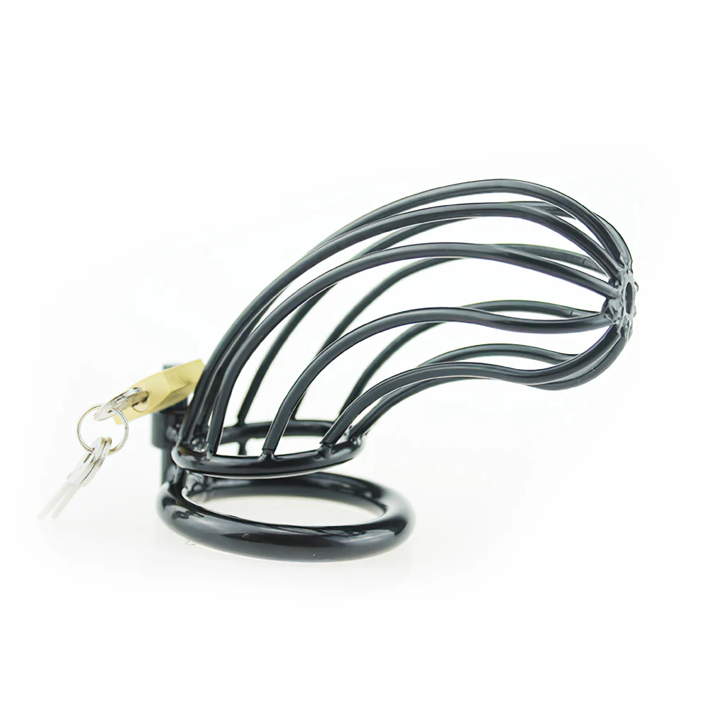 Black Metal Chastity Cage (3 Rings) - Image 4