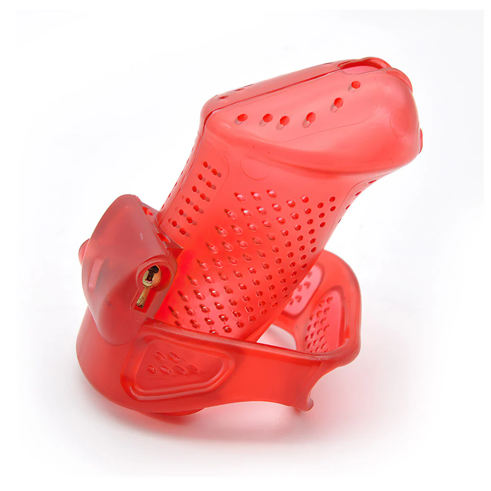 CB6000s Chastity Cage - Image 3