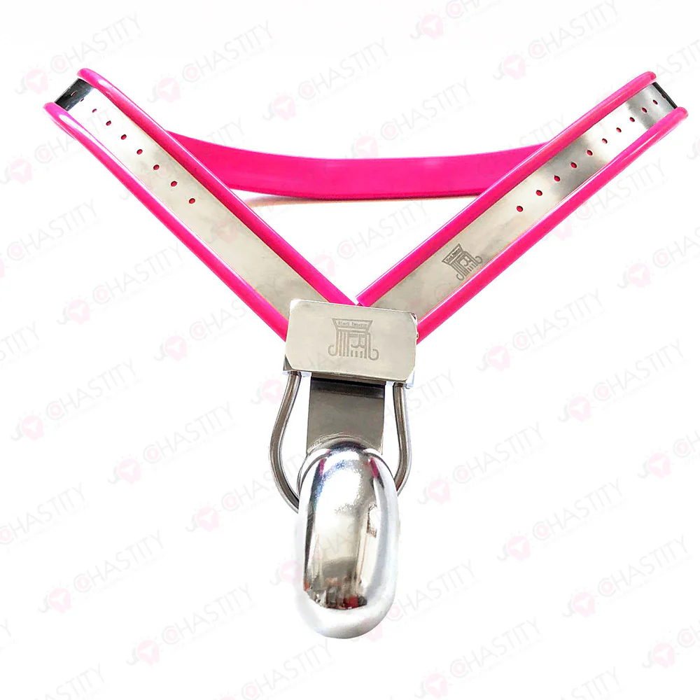 Chastity Belt Bondage - Image 4