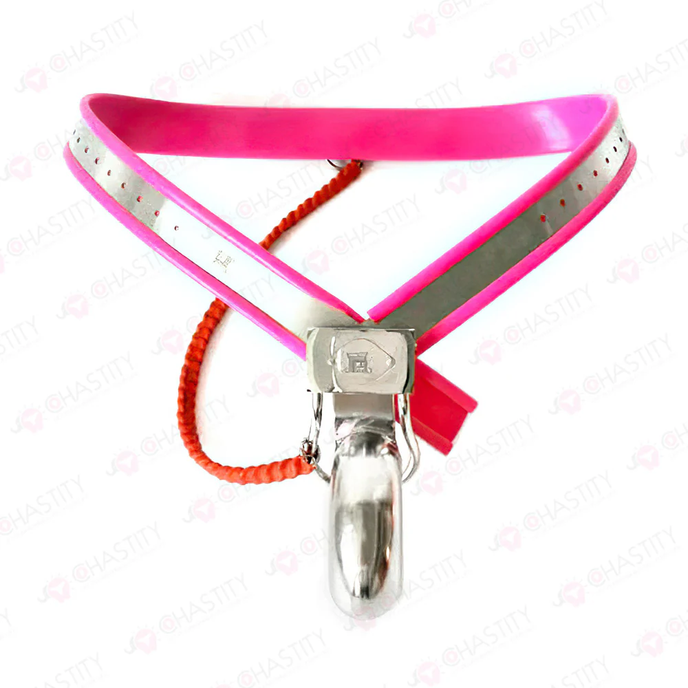 Chastity Belt Bondage - Image 8