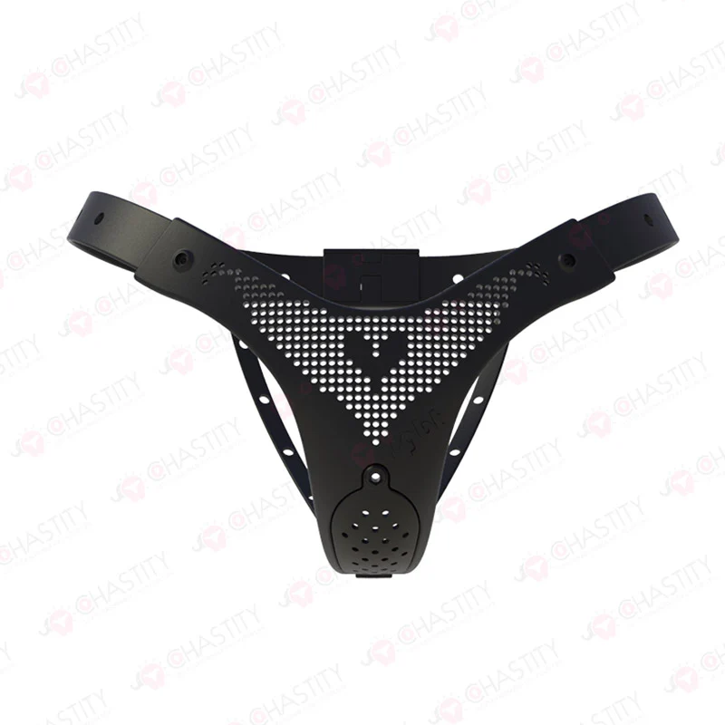 Chastity Belt For Wife - Image 12