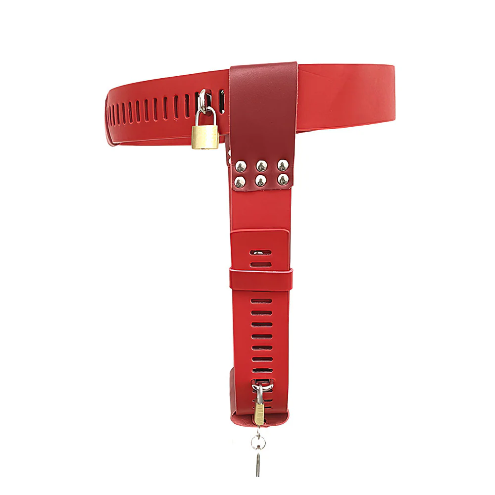 Chastity Belt With Buttplug - Image 5