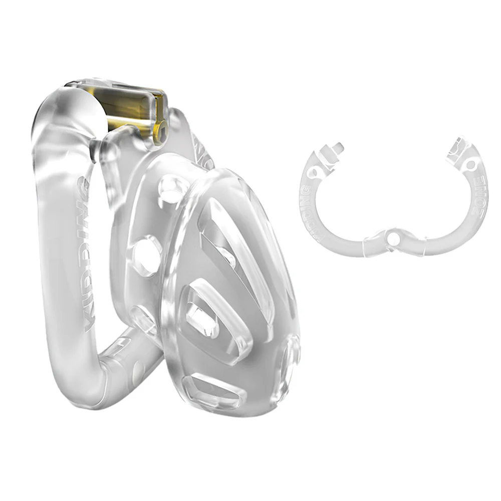Chastity Birdcage - Image 3