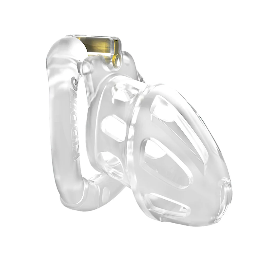 Chastity Birdcage - Image 4