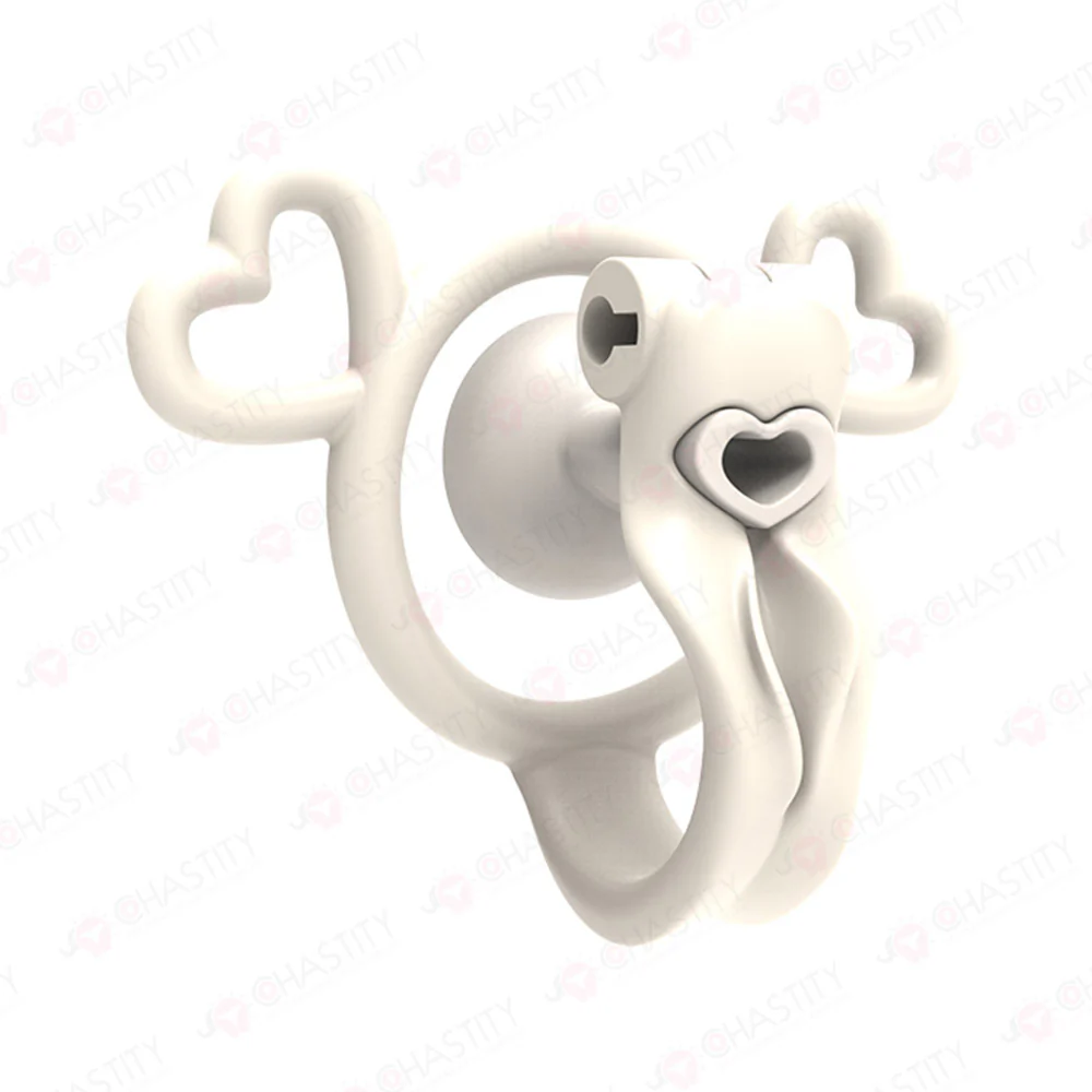 Chastity Boy Removable Negative Cover Cage - Image 10