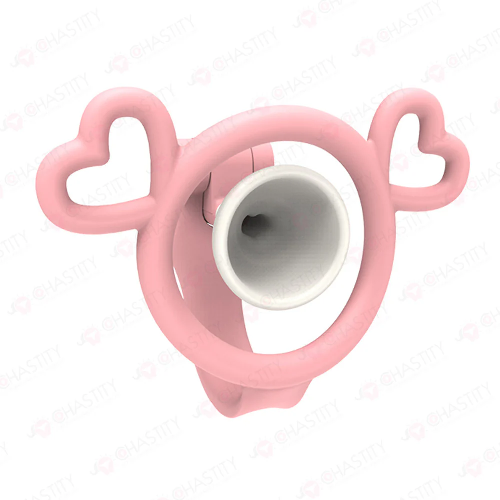Chastity Boy Removable Negative Cover Cage - Image 2