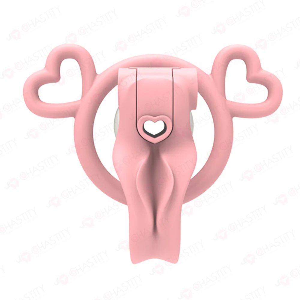 Chastity Boy Removable Negative Cover Cage - Image 5