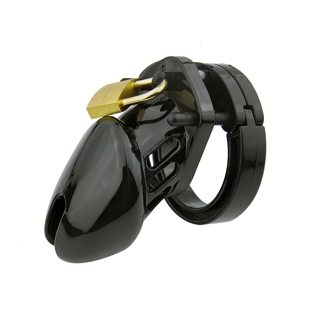 Chastity Cage For Beginners - Image 6