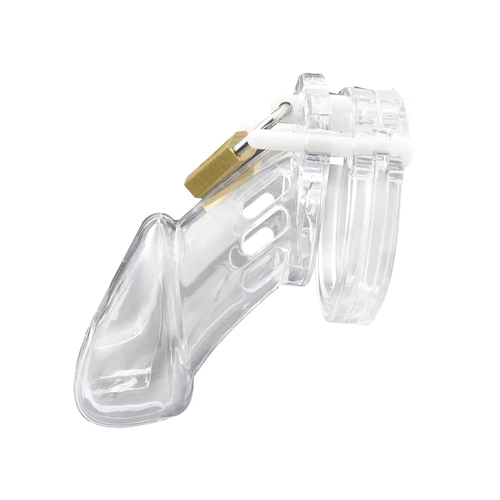 Chastity Cage For Beginners - Image 9