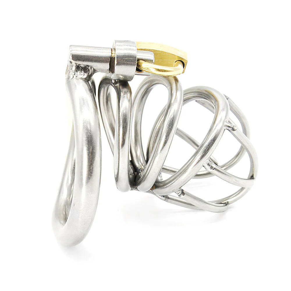 Chastity Cage For Penis - Image 2