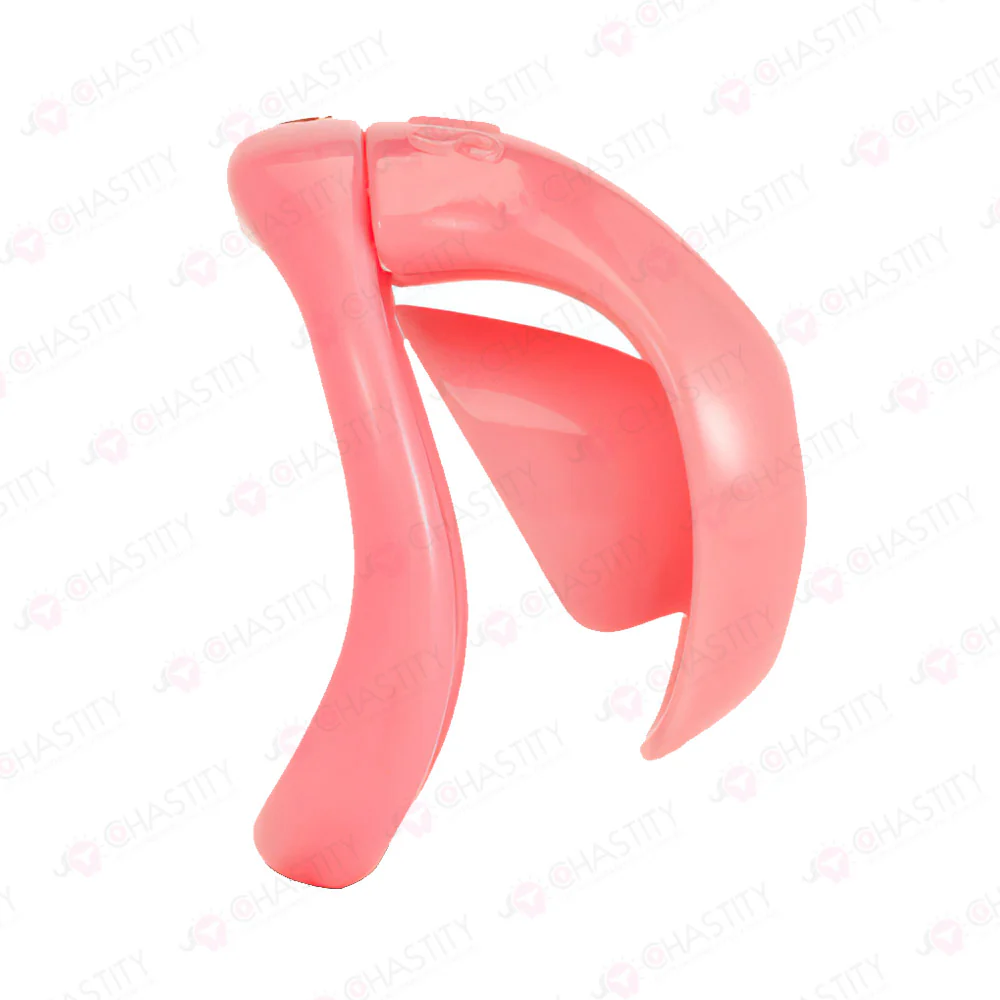 Chastity Cage For Sissy Crossdressing - Image 2