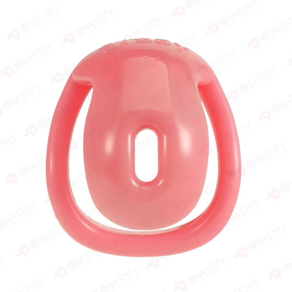 Chastity Cage For Sissy Crossdressing - Image 4