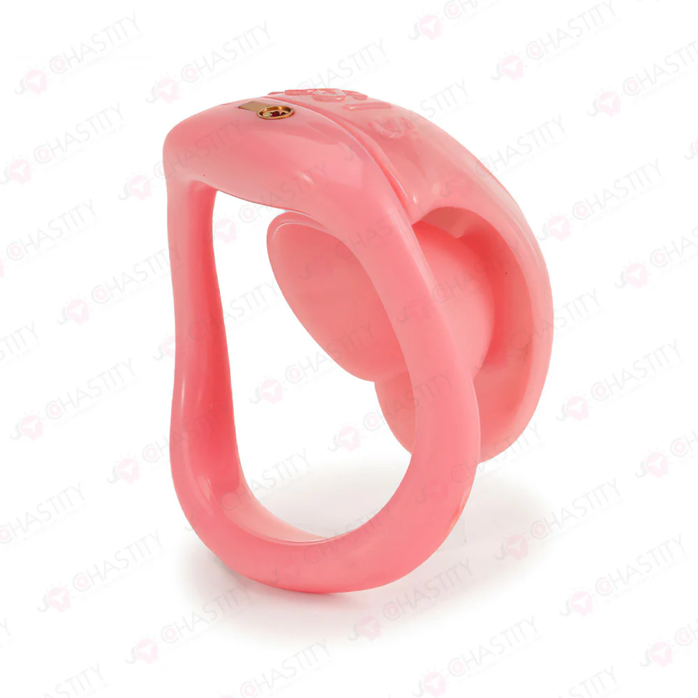 Chastity Cage For Sissy Crossdressing - Image 5