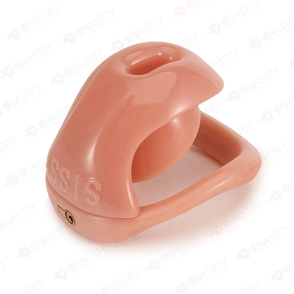 Chastity Cage For Sissy Crossdressing - Image 7
