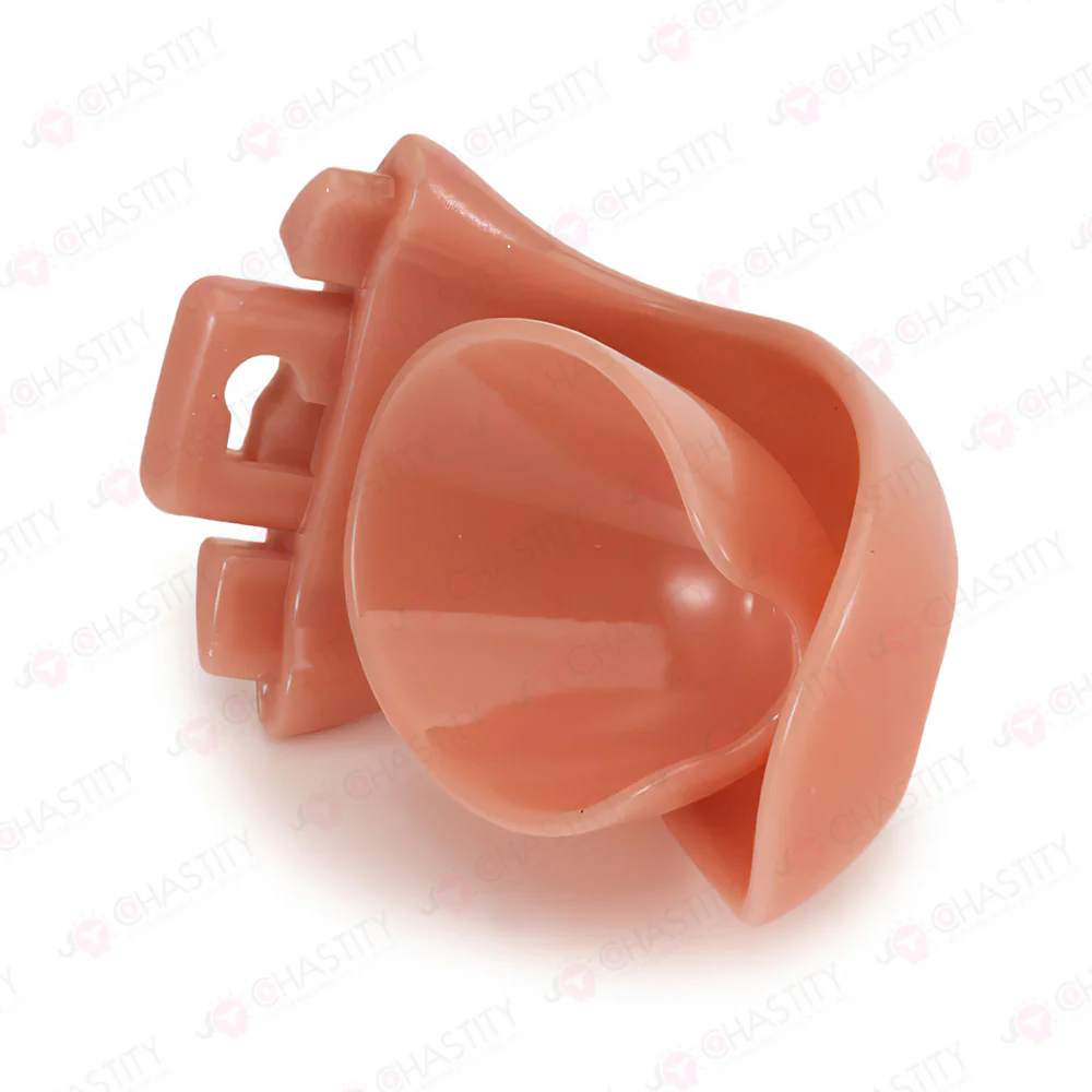 Chastity Cage For Sissy Crossdressing - Image 8