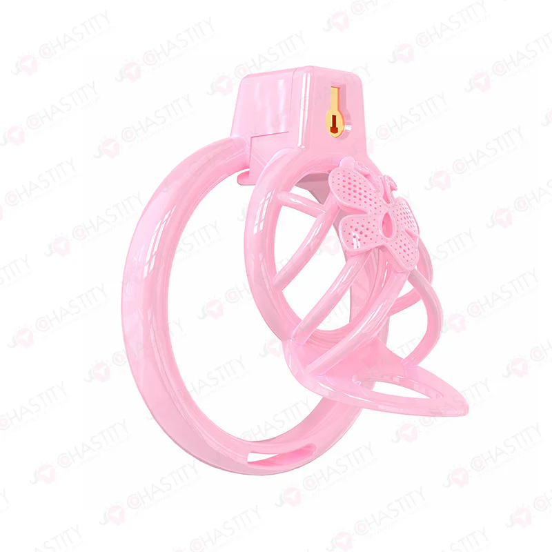 Chastity Cage Humiliation With Remote Controlled Butt Plug - Image 12