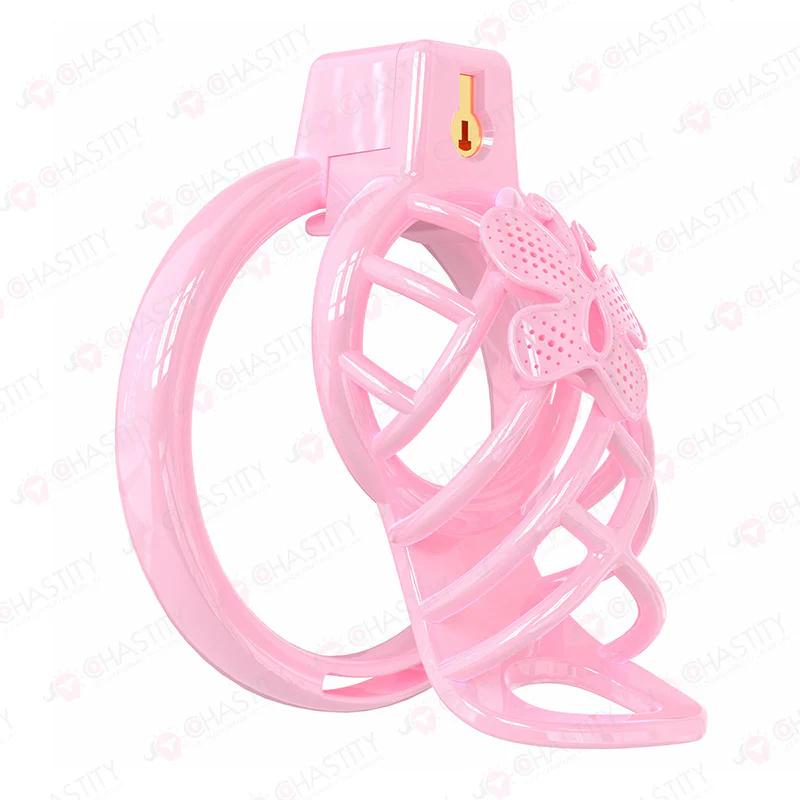 Chastity Cage Humiliation With Remote Controlled Butt Plug - Image 13