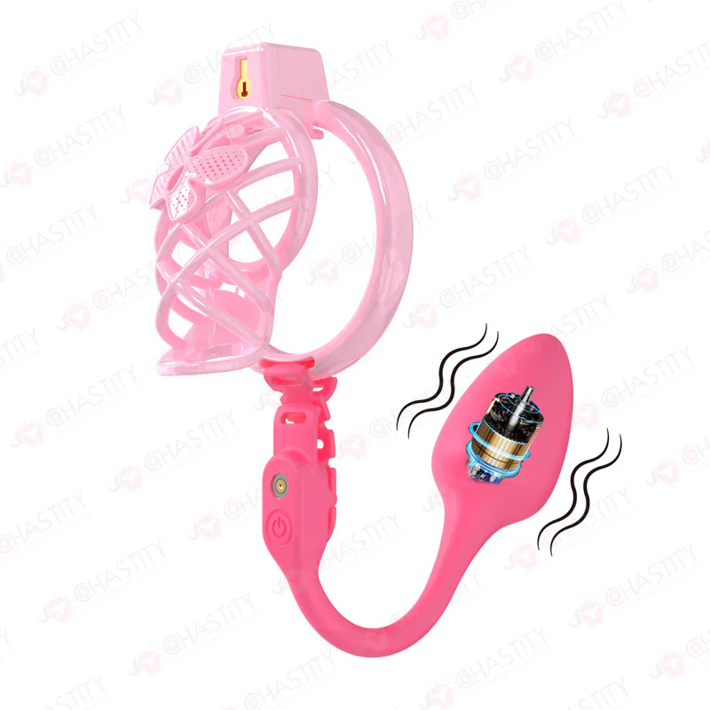 Chastity Cage Humiliation With Remote Controlled Butt Plug - Image 6