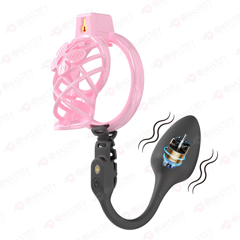 Chastity Cage Humiliation With Remote Controlled Butt Plug - Image 7