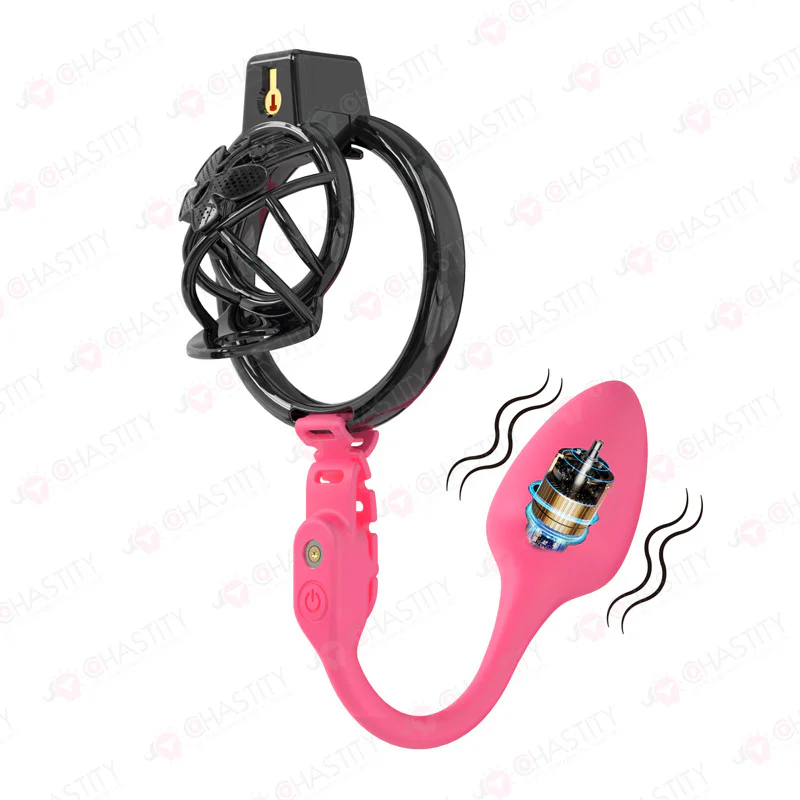 Chastity Cage Humiliation With Remote Controlled Butt Plug - Image 8