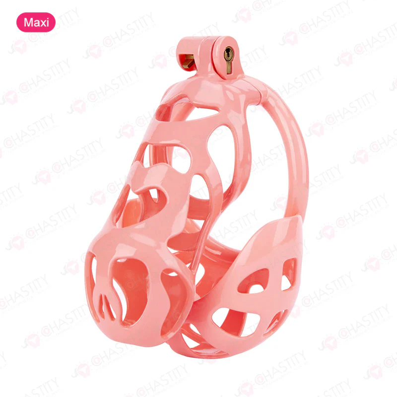 Chastity Cage With Ball Cage - Image 12