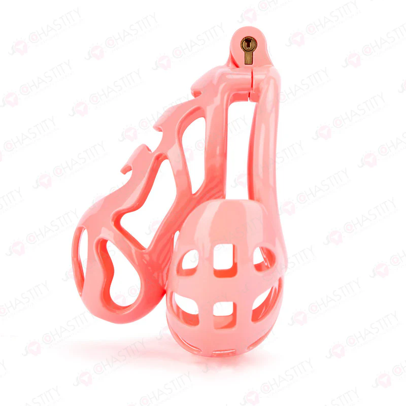 Chastity Cage With Ball Cage - Image 2