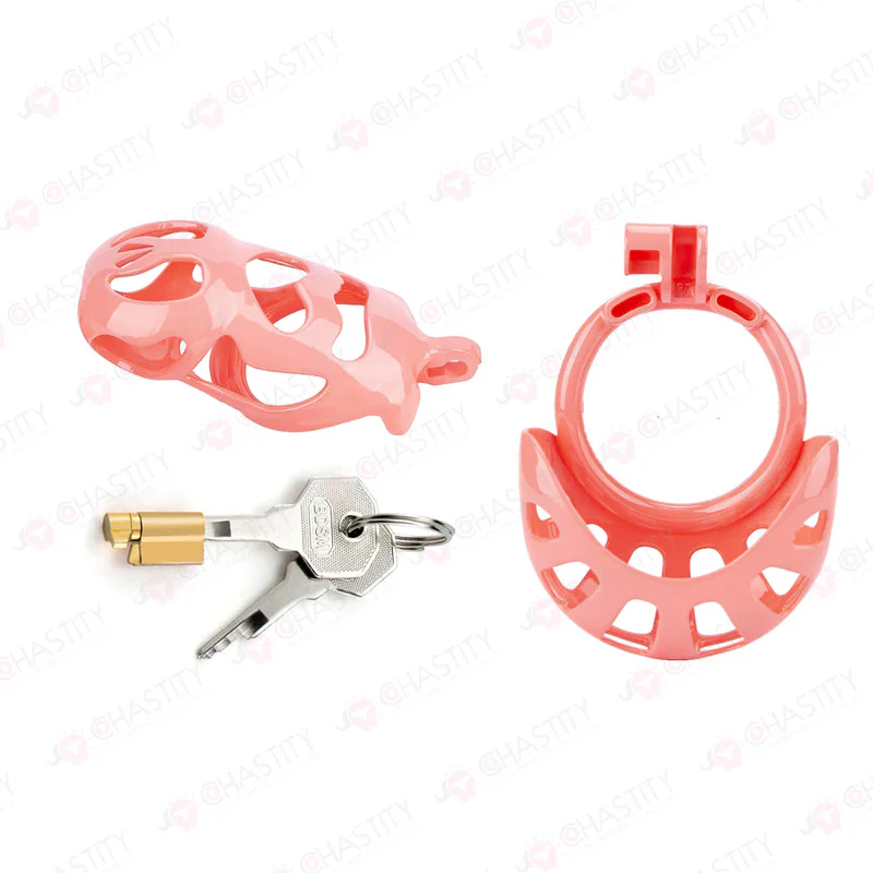 Chastity Cage With Ball Cage - Image 7