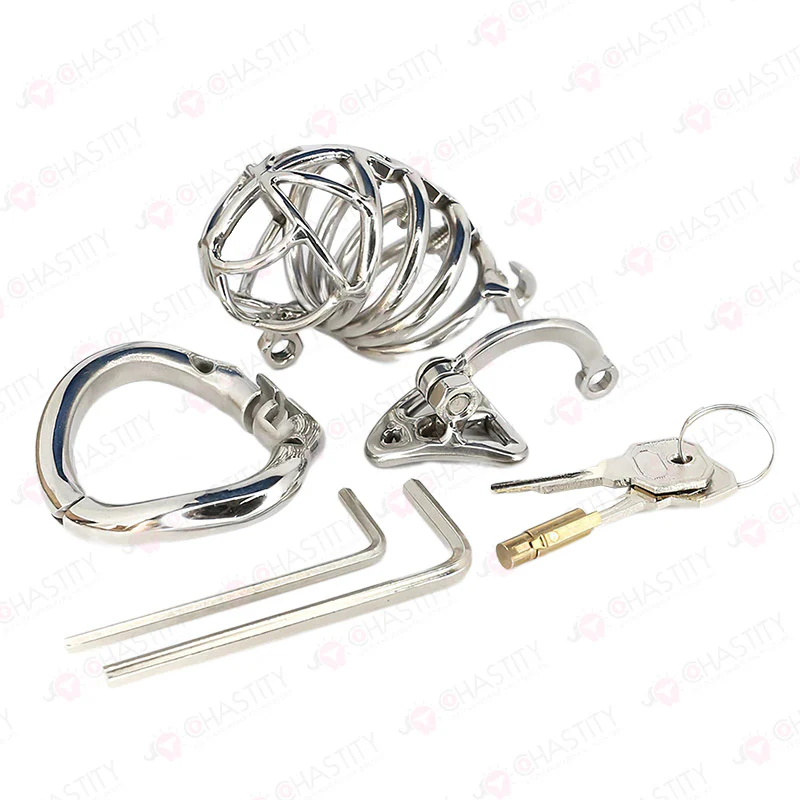 Chastity Cage With Ball Splitter - Image 2
