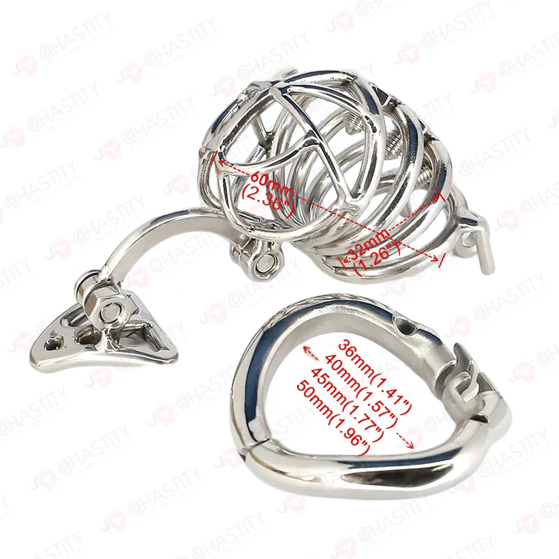 Chastity Cage With Ball Splitter - Image 3