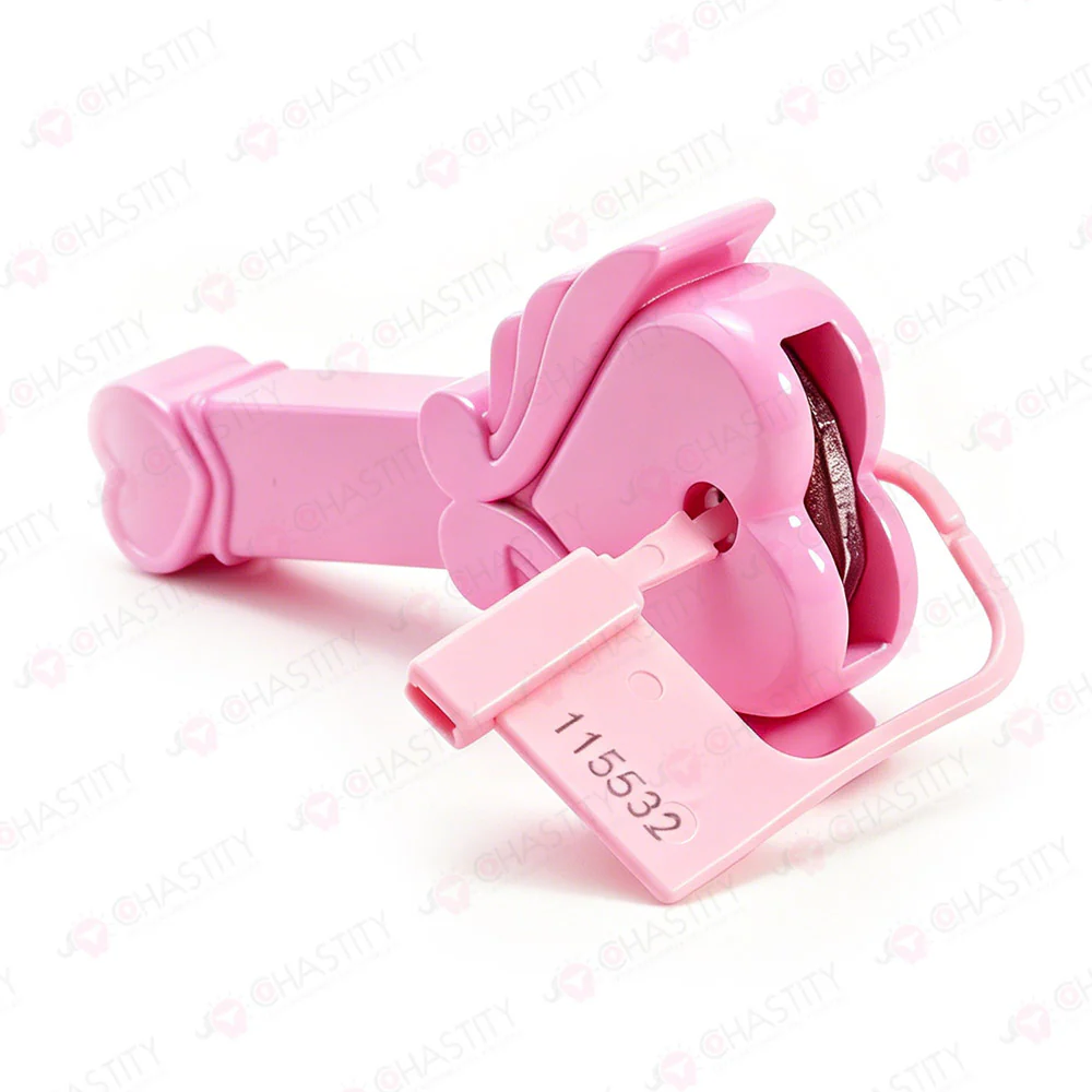 Chastity Key Lock Box - Image 2