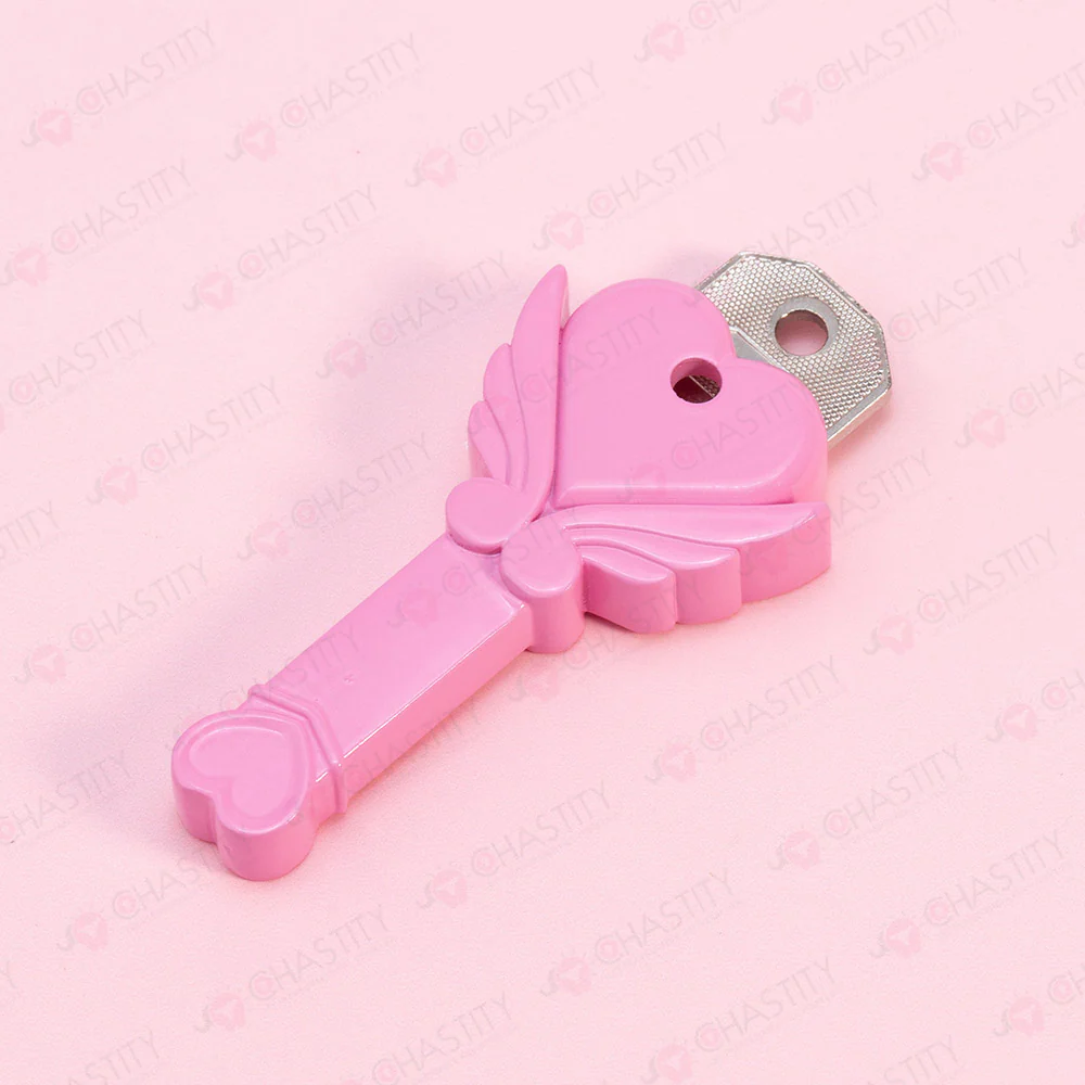 Chastity Key Lock Box - Image 6