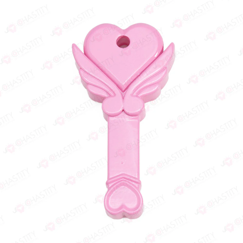 Chastity Key Lock Box - Image 7