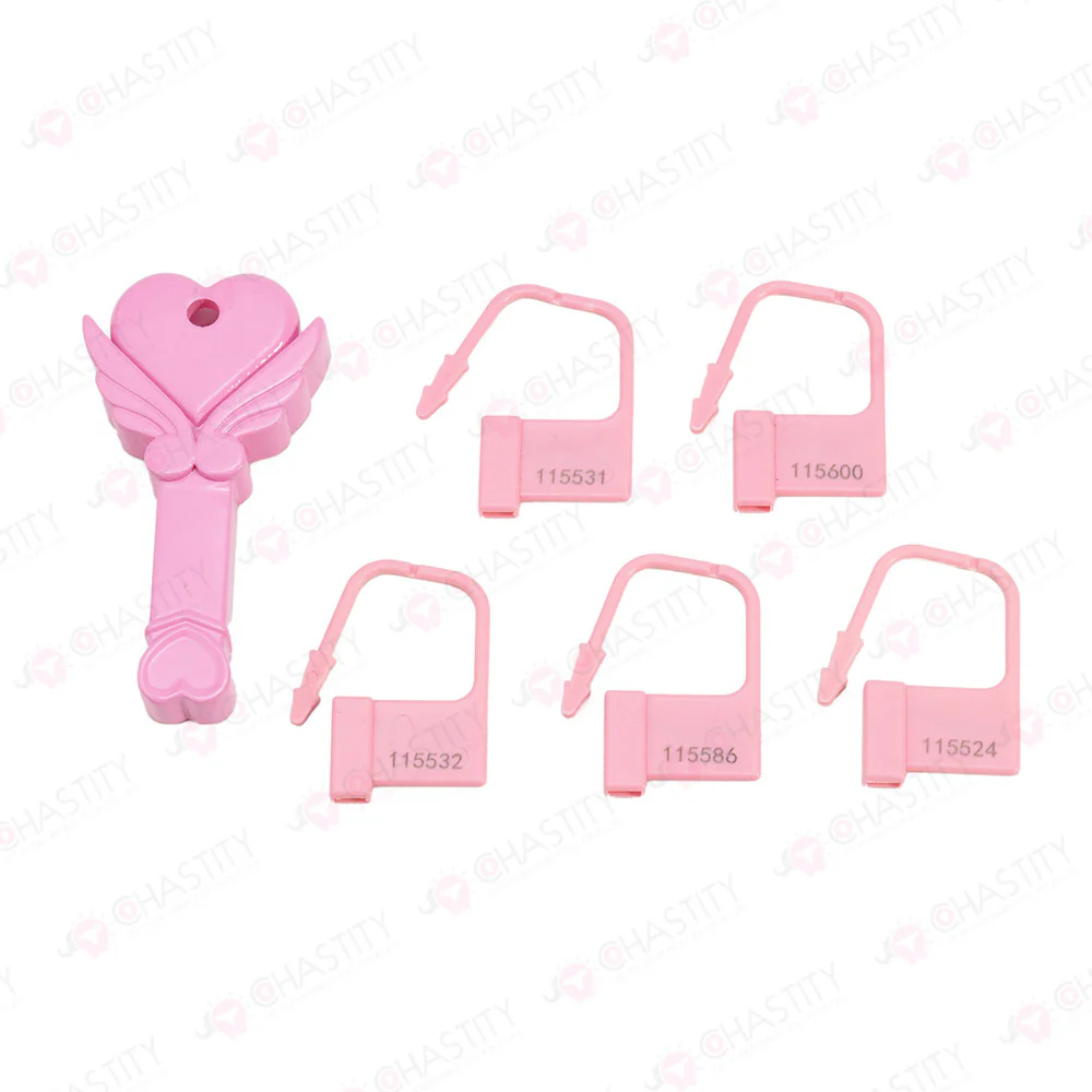Chastity Key Lock Box - Image 8