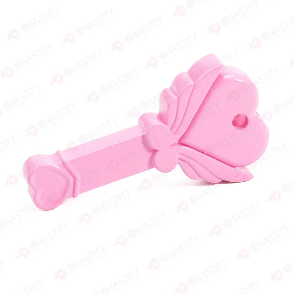 Chastity Key Lock Box - Image 9