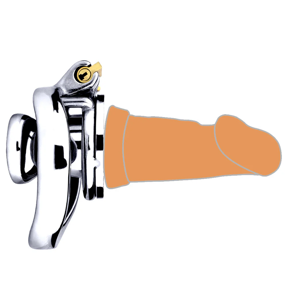 Cock In Chastity With Dildo - Image 21