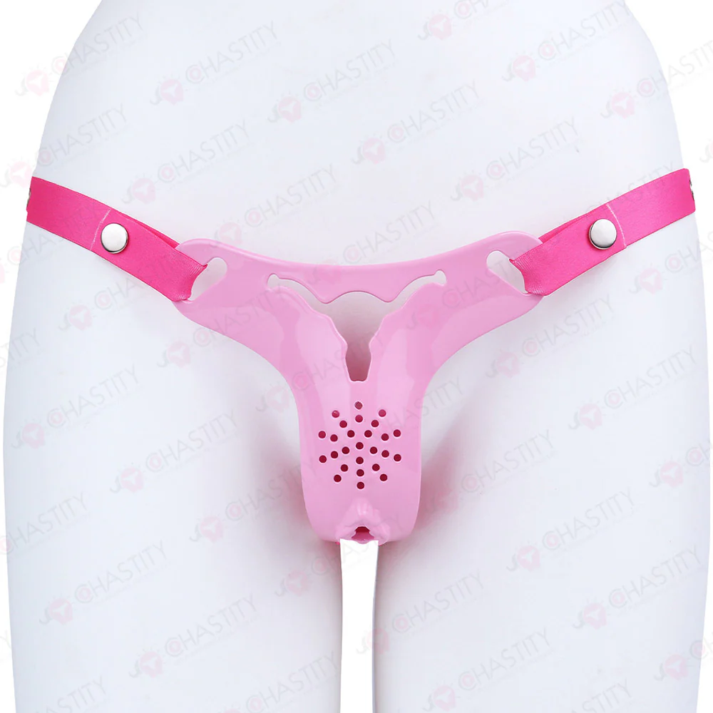 Cross Dressing Wearable Chastity Plate - Image 10