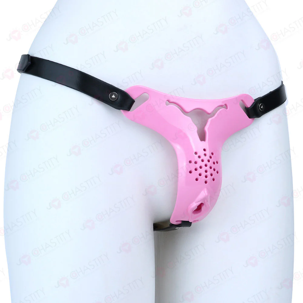 Cross Dressing Wearable Chastity Plate - Image 11
