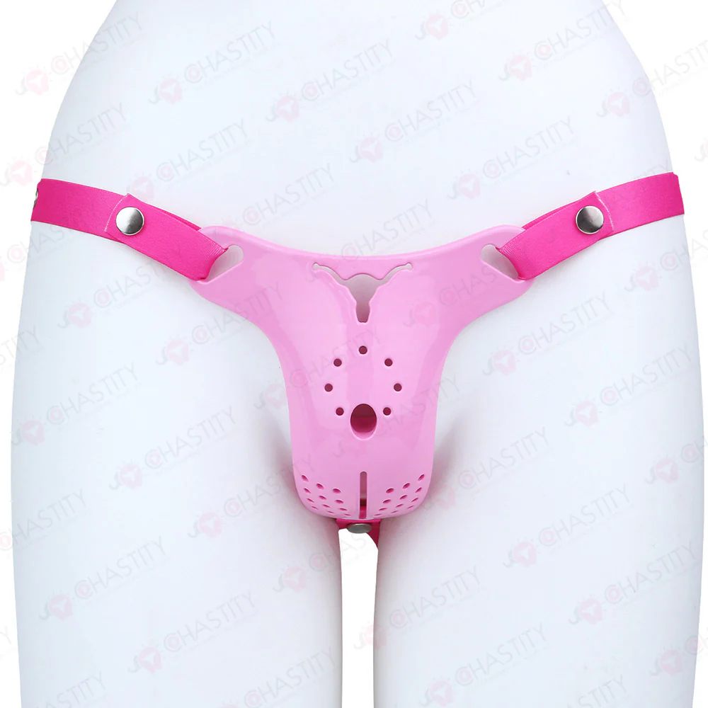 Cross Dressing Wearable Chastity Plate - Image 4