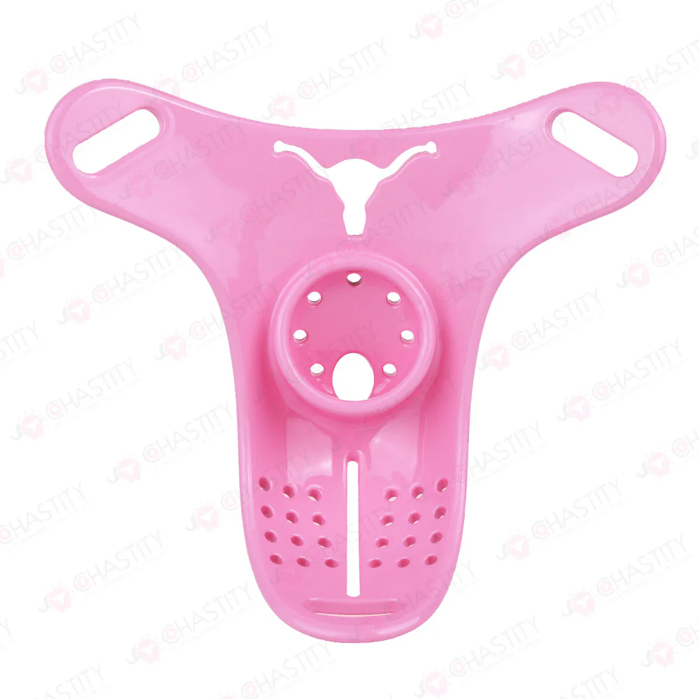 Cross Dressing Wearable Chastity Plate - Image 6