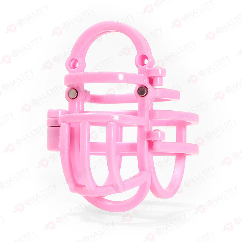 Detachable Full Chastity Bondage (Penis & Balls) - Image 2