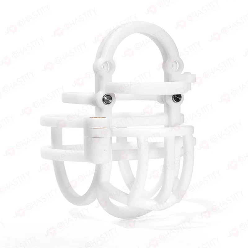 Detachable Full Chastity Bondage (Penis & Balls) - Image 7