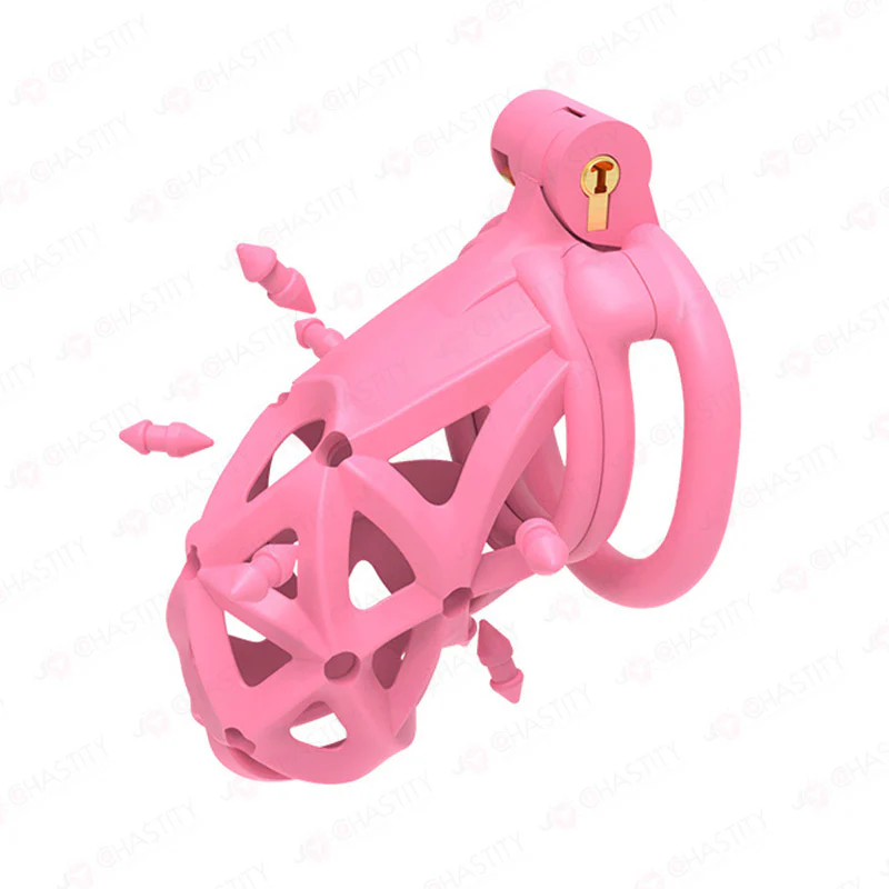 Diamond Chastity Cage With Silicone Spikes - Image 10