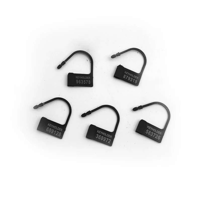 Disposable Plastic Coded Locks - Image 2