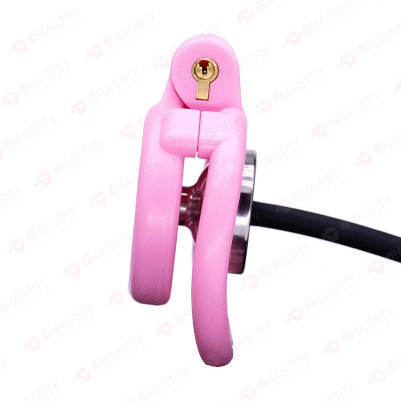 Flat & Inverted Diy Chastity Device (Assembled) - Image 7
