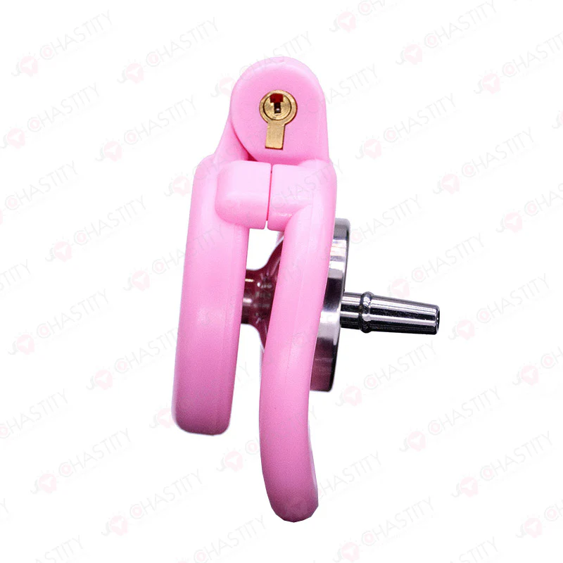 Flat & Inverted Diy Chastity Device (Assembled) - Image 8